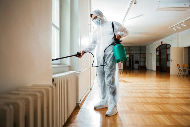 Best Pest Prevention Services  in Eldorado, TX